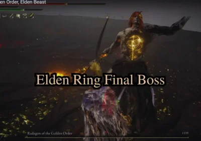 elden ring final boss